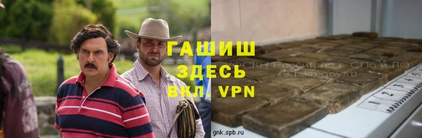 гидра Касимов