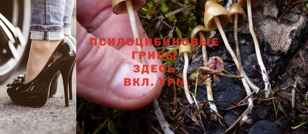 герыч Карпинск