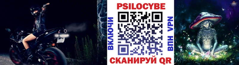 Купить закладки  Жирновск  Псилоцибиновые грибы Psilocybe 